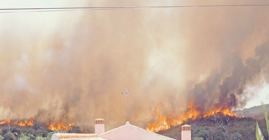 В Греции из-за пожаров эвакуировали 4 населенных пункта