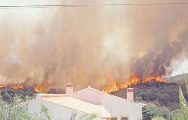 В Греции из-за пожаров эвакуировали 4 населенных пункта