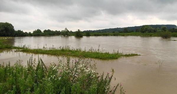 Дожди подтопили четыре города во Львовской области 