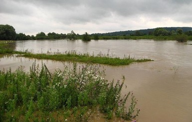 Дожди подтопили четыре города во Львовской области 