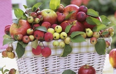 Яблочный Спас: приметы и запреты в этот праздник