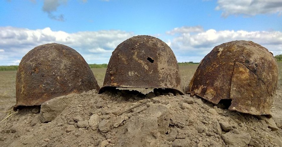 В Житомирской области нашли останки солдат, погибших в 1941 году