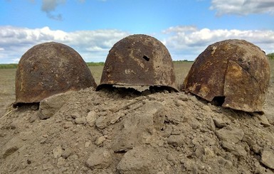 В Житомирской области нашли останки солдат, погибших в 1941 году