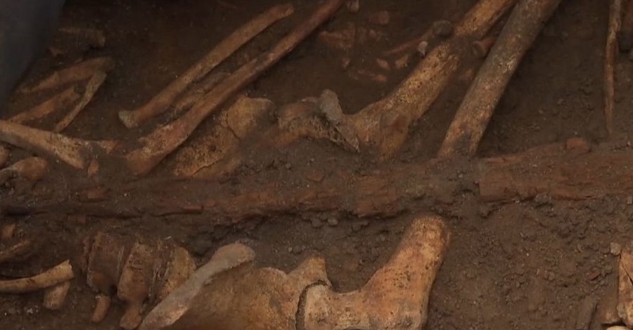 В Кропивницкой области нашли древнейшее захоронение