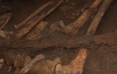 В Кропивницкой области нашли древнейшее захоронение