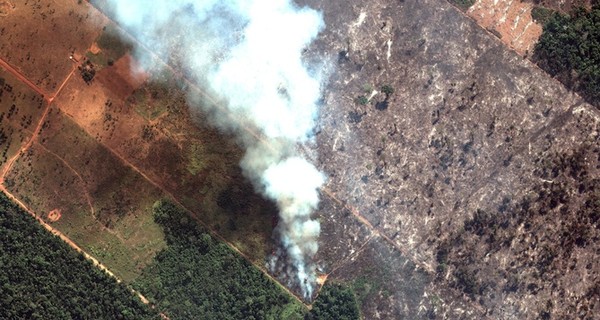 Пожары в Амазонии: президент Бразилии отказался принять помощь G7 в борьбе с огнем