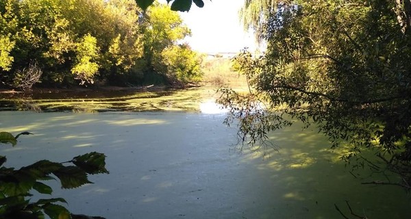 В Сумах мужчина убил своего сына из-за кражи денег и алкоголя 