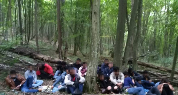 На украино-словацкой границе задержали 24 нелегала