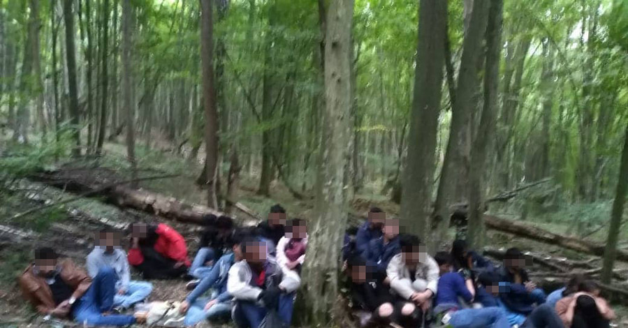 На украино-словацкой границе задержали 24 нелегала
