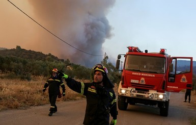 Пожары в Греции: седьмой поджог леса за девять дней