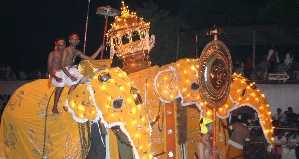 На Шри-Ланке слоны во время праздника бросились на людей