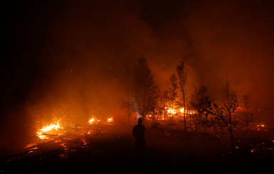 50 тысяч гектаров в огне: Индонезию охватили лесные пожары