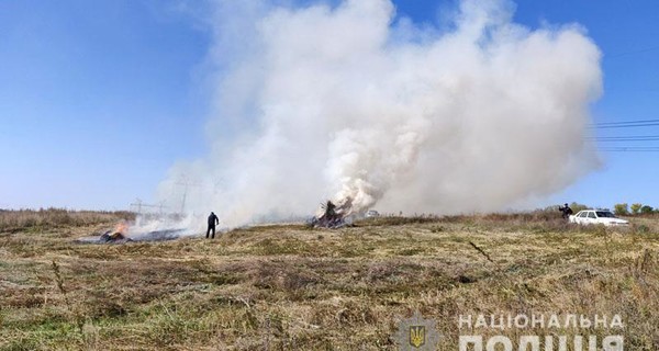 В Донецкой области сгорели более полумиллиона кустов конопли