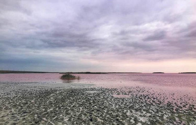Уникальное розовое озеро на Херсонщине поменяло цвет