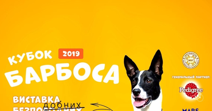 Встреть своего Барбоса: выставка бесПОДОБНЫХ собак в Киеве