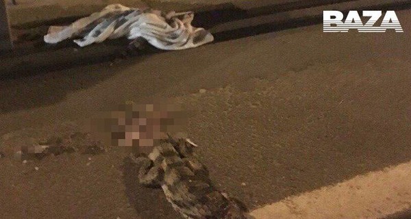 В России на трассе раздавили крокодила