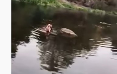 В Житомире случайный свидетель спас упавшую в реку 2-летнюю малышку 