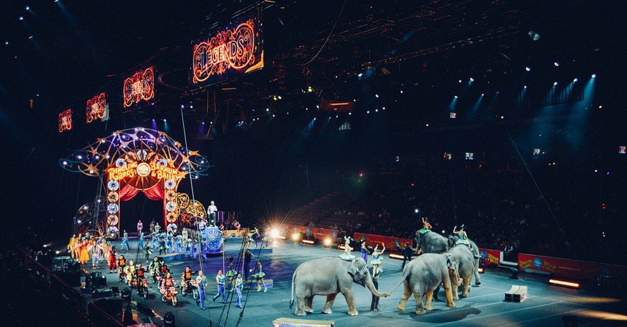 Во Львове запретили эксплуатацию животных в цирках и дельфинариях
