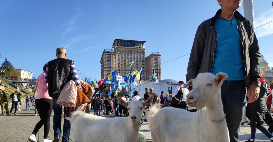 Козы на Майдане и дымовые шашки: самые яркие фото с марша националистов и ветеранов