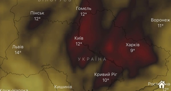 Премьер опроверг аномальное загрязнение воздуха, о котором пишут в сети