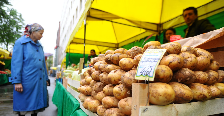 Выбрать, купить, съесть: что нужно знать о картошке