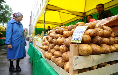 Выбрать, купить, съесть: что нужно знать о картошке