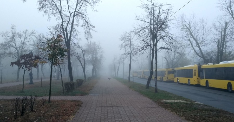 Синоптики предупредили, что туман в Киеве продержится еще долго