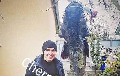 В Чернигове рыбак поймал огромного сома