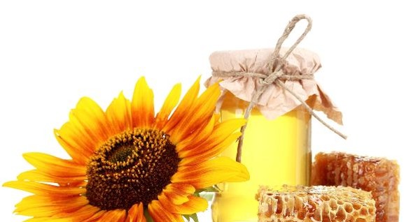 Ученые назвали самый целебный мед в Украине