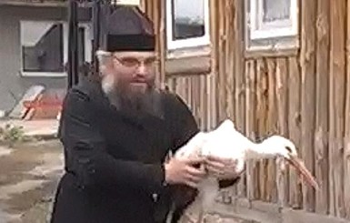 Черниговский священник 10 лет ухаживает за аистами