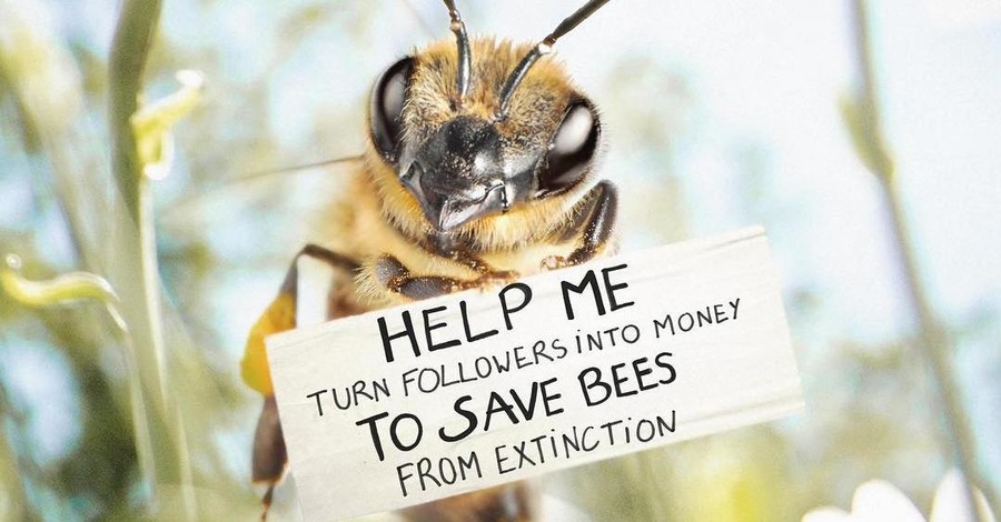 Она пишет картины, путешествует и загорает: сеть покорила первая в мире пчела-блогер