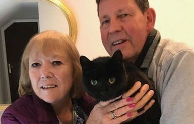 Черный кот, пропавший 6 лет назад, вернулся к хозяевам на Хэллоуин