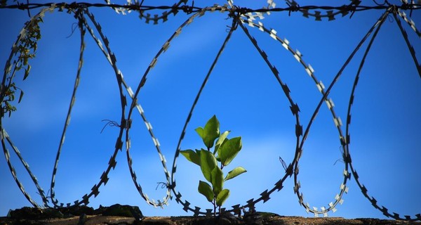 Инди-музыканты из США сняли клип с арестантами в колонии под Киевом