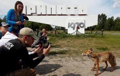 Чернобыльский туризм бьет рекорды: уже боле 100 тысяч гостей
