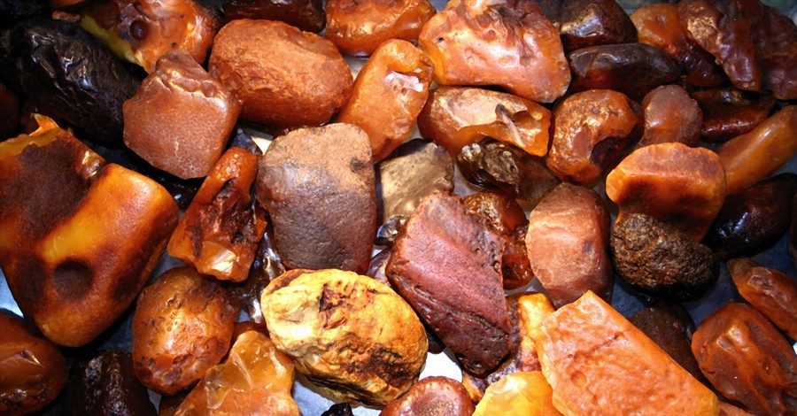 На Буковине возле границы обнаружили почти 270 килограммов янтаря