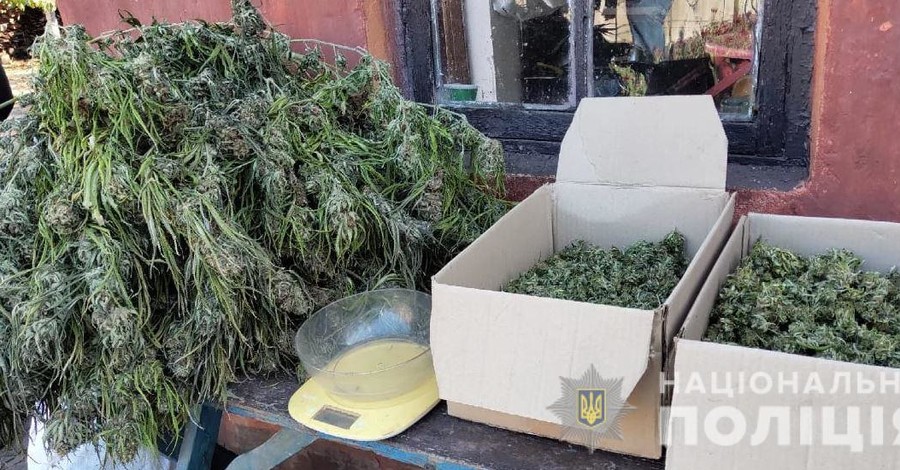 На Херсонщине изъяли наркотики почти на 2 миллиона гривен