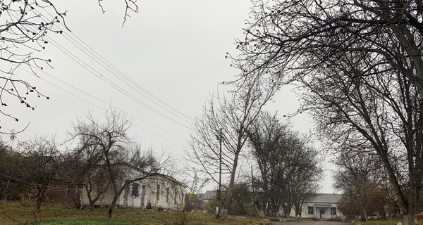 Под Киевом женщина, воровавшая воду и свет, напала на полицейского