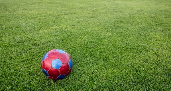 Эксперт предложил использовать букмекеров для развития национального футбола