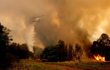 Австралийцы обвиняют правительство в новых пожарах