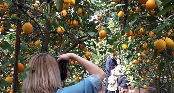 Семья из Запорожья открыла для туристов уникальный лимонарий