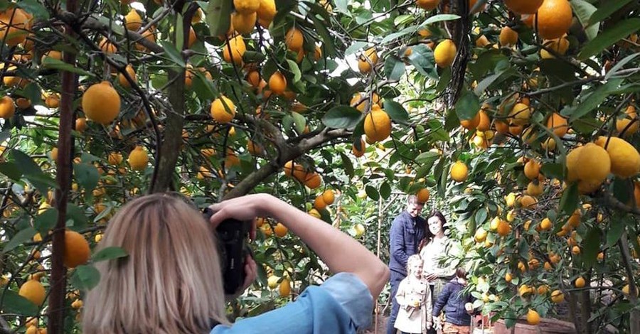 Семья из Запорожья открыла для туристов уникальный лимонарий