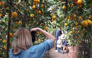 Семья из Запорожья открыла для туристов уникальный лимонарий