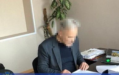 Экс-заместителю Нели Штепы предъявили подозрение в сепаратизме