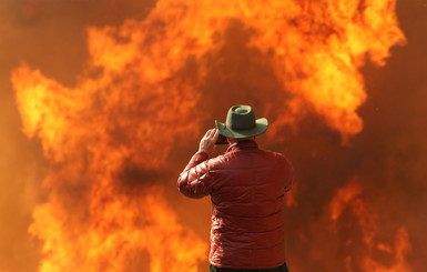 Тушат спасатели и заключенные: Калифорнию снова охватили лесные пожары 