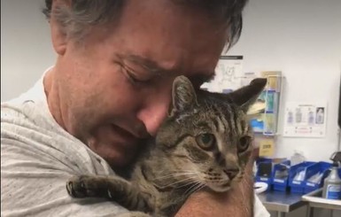 Хэппи-енд: мужчине вернули кота, которого он потерял 7 лет назад