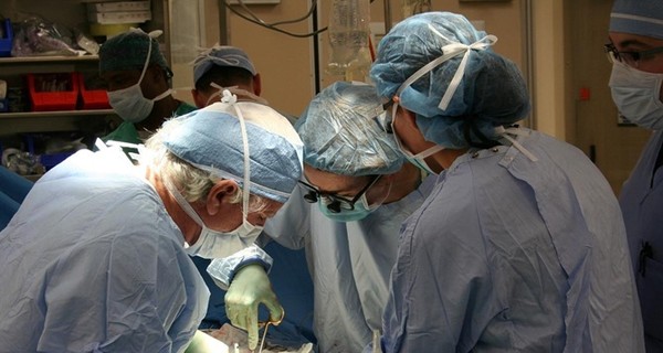 Рада отложила запуск системы трансплантации органов на 2021 год
