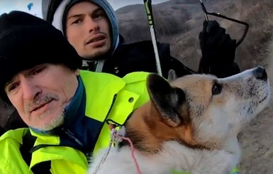Лайка установила рекорд Украины, став первой собакой на параплане