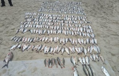 На Черкащине сотрудник рыбоохранного патруля незаконно выловил 600 кг рыбы