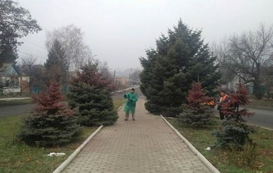 Во Львове в центральном парке перекрасят елки