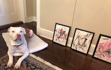 В Виргинии собака-художник из приюта заработала тысячи долларов на продаже своих картин